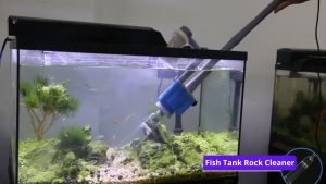 Fish Tank Rock Cleaner