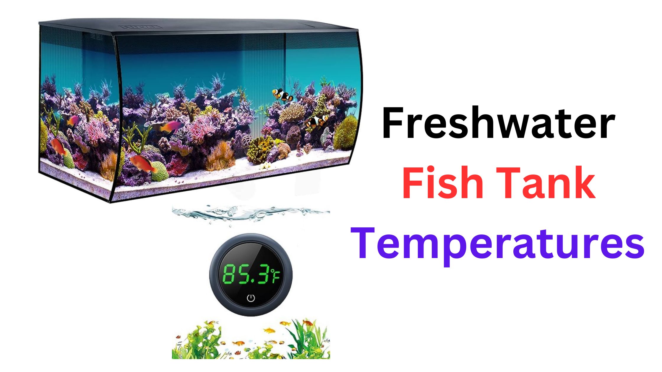 Freshwater Fish Tank Temperatures: How to Maintain & Control