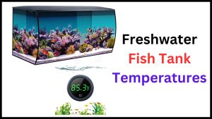 Freshwater Fish Tank Temperatures