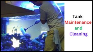Tank Maintenance and Cleaning